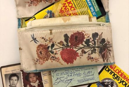 ‘Like a time capsule’: Woman’s forgotten wallet found at Toronto mall 40 years later