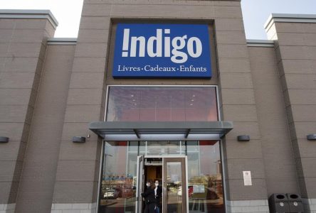 Indigo faced ‘challenging’ 2023 and will take some time to recover: CEO