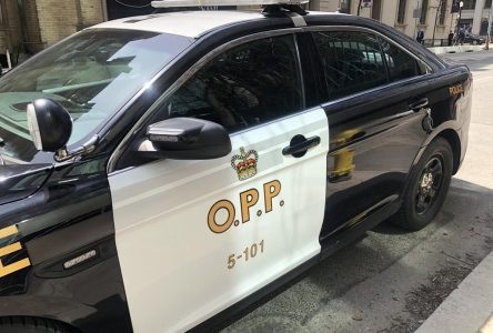 Police investigating deadly crash between two snowmobiles in Georgian Bay Township