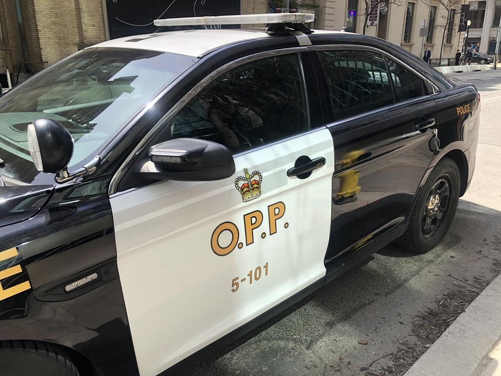 Woman, 32, dies in a vehicle collision in central Ontario, police say