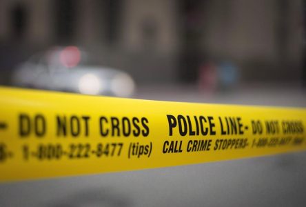 Daylight shooting in north Toronto leaves one man dead