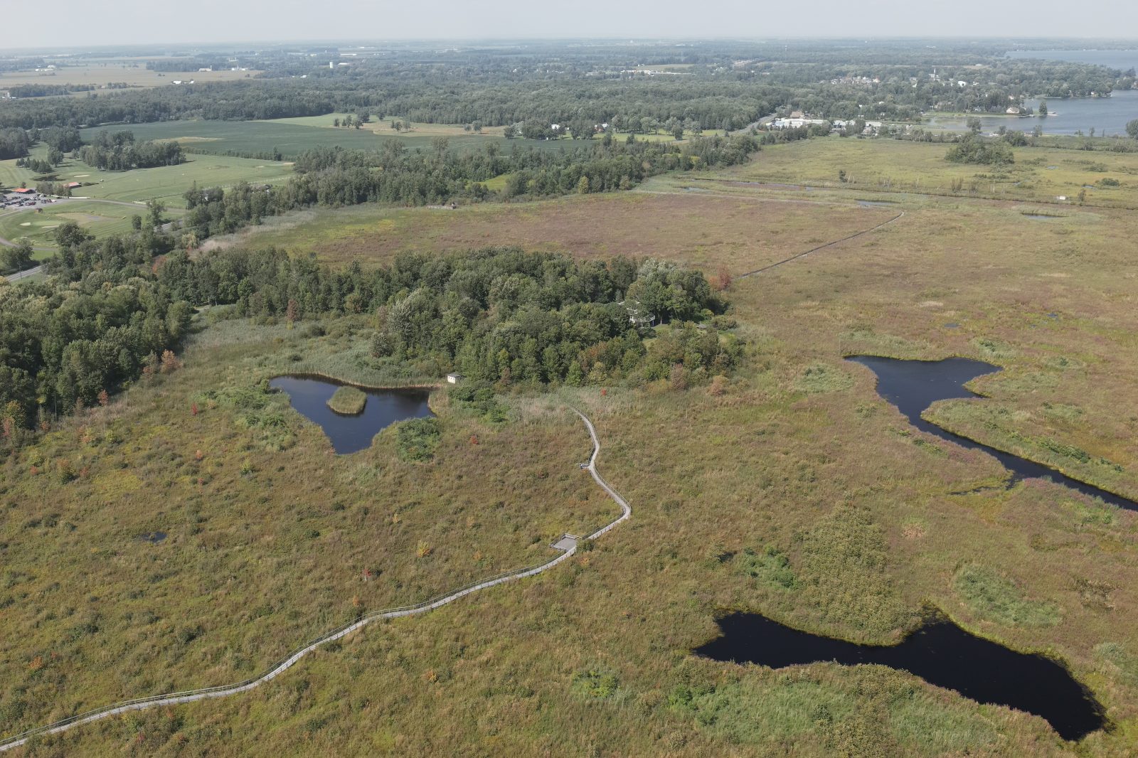 RRCA Expanding Areas of Open Water Habitat at Cooper Marsh