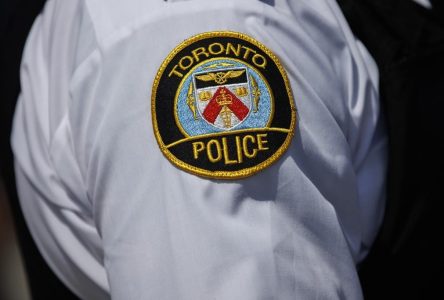 Toronto man arrested and charged in dog attack investigation