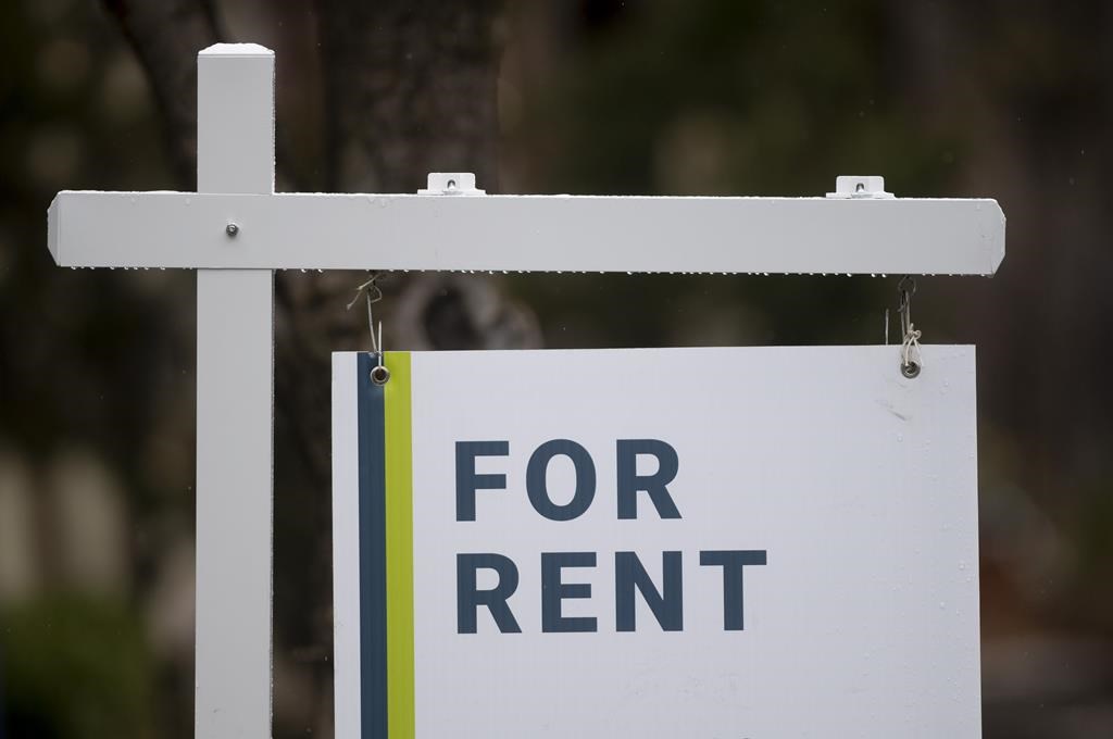 Renters have harder time accumulating wealth than homeowners: RBC economist