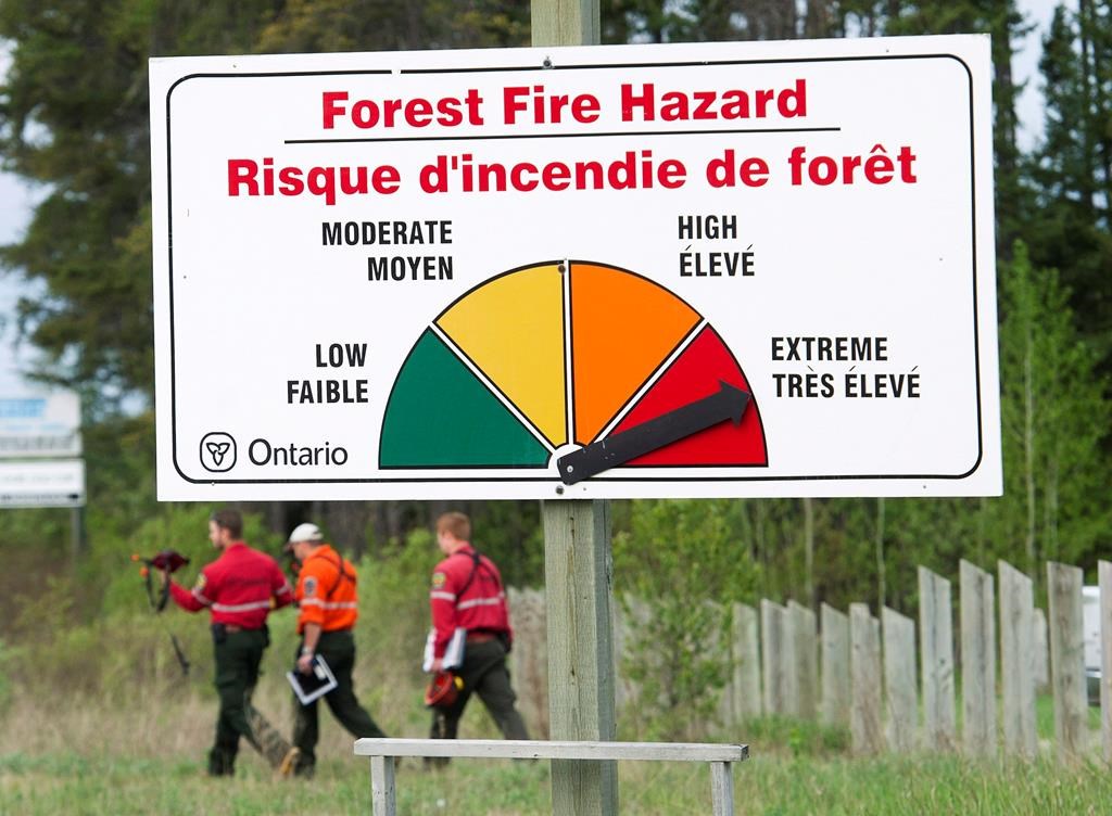 Ontario to give out $5,000 bonuses to wildland firefighters