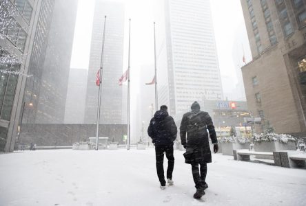 Snowfall affects evening commute in GTA, Hamilton, parts of eastern Ontario