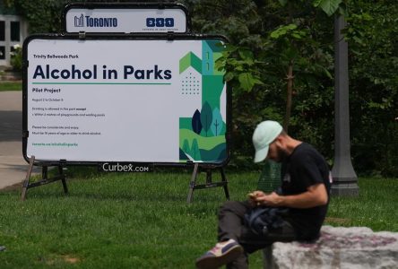Report finds almost everyone who drank at select Toronto parks satisfied with pilot