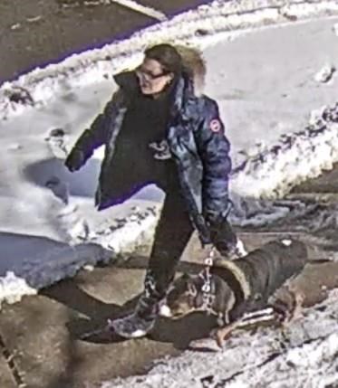 Woman charged after dog attack left child seriously injured in Toronto