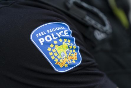 Adult body found on Lake Ontario shoreline in Mississauga, Peel police investigate