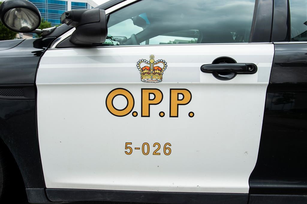 Driver missing in Ontario after police say vehicle was pulled into creek