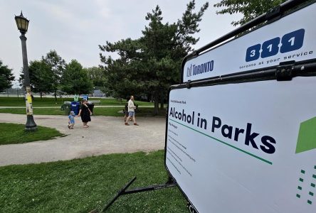 Toronto expands legal drinking in parks with more to come this summer