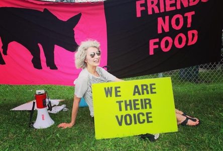 Animal activists thrilled after parts of Ontario agriculture law unconstitutional