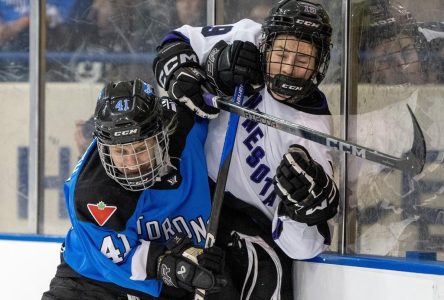 Toronto clinches top spot in PWHL with 4-1 win over Minnesota