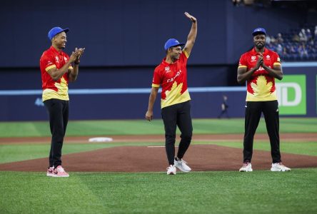 Blue Jays’ Cricket Night cross-promotes ball-and-bat sports at Rogers Centre